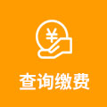 查询缴费